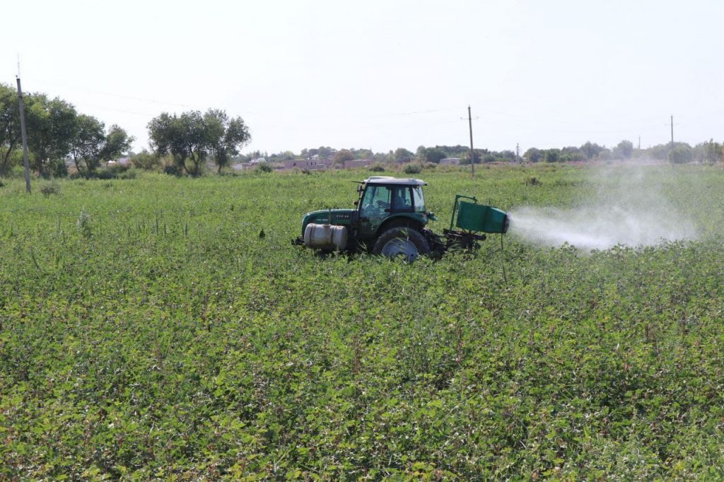 Náwbet ǵawasha defolyaciyasına